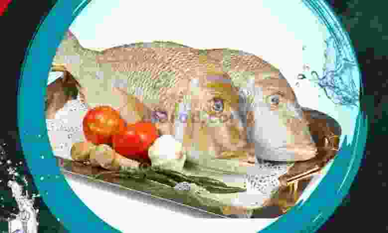 el3rod.com00001-1138