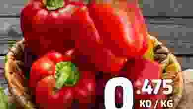 el3rod.com00001-1300