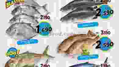 el3rod.com00001-1359
