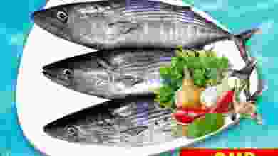 el3rod.com00001-1377