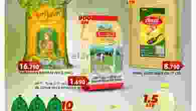 el3rod.com00001-1379