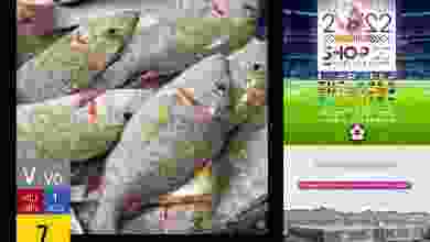 el3rod.com00001-1415