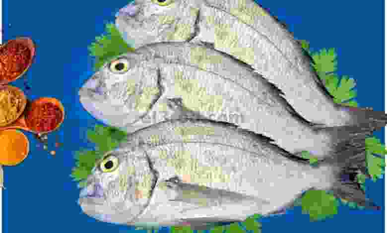el3rod.com00001-1481