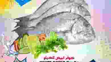عروض البادية هايبر ماركت عمان 1-11-2022 الثلاثاء el3rod.com00001-15