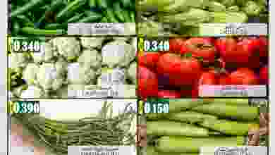 el3rod.com00001-198