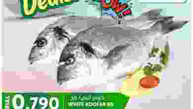 el3rod.com00001-230