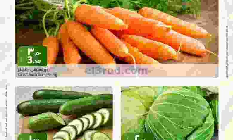 el3rod.com00001-244