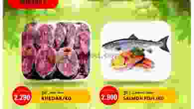 el3rod.com00001-270