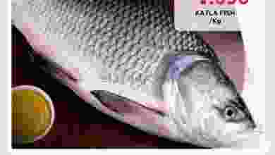 el3rod.com00001-29