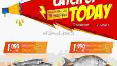 el3rod.com00001-342