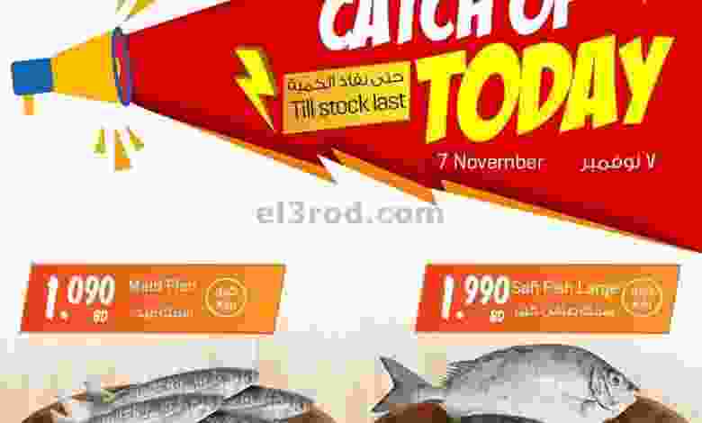 el3rod.com00001-342