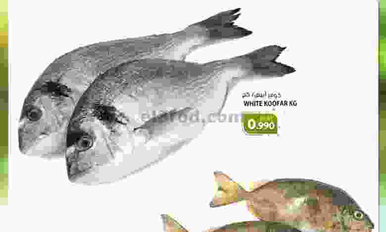 el3rod.com00001-37