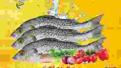el3rod.com00001-448