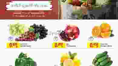 el3rod.com00001-530