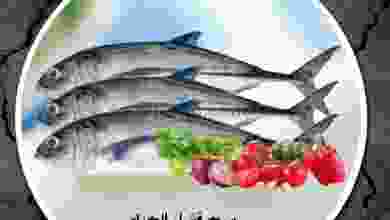 el3rod.com00001-595