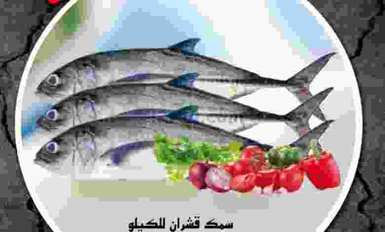 el3rod.com00001-595