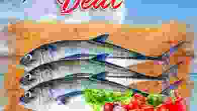 el3rod.com00001-596