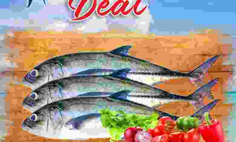 el3rod.com00001-596