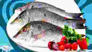 el3rod.com00001-763