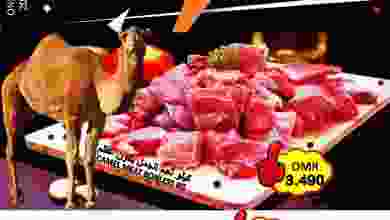 el3rod.com00001-769