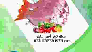 el3rod.com00001-793