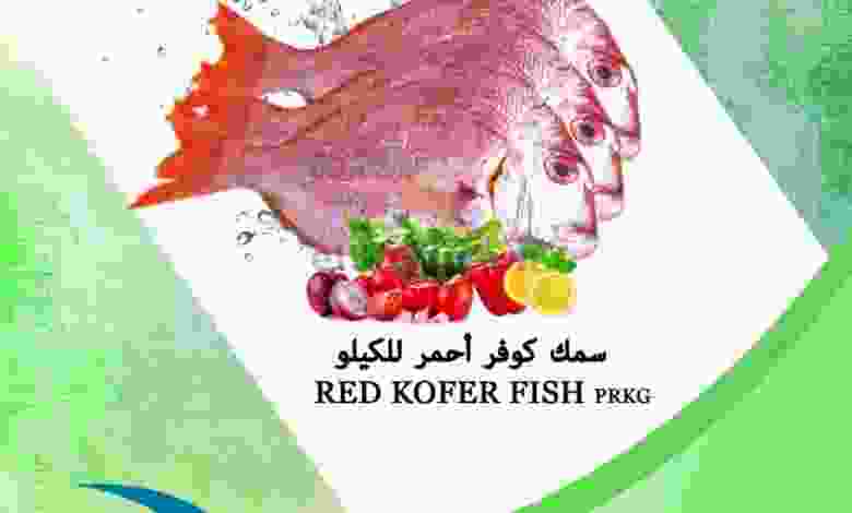 el3rod.com00001-793