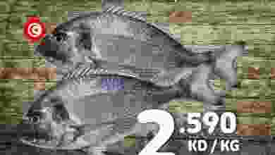 el3rod.com00001-869