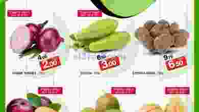 el3rod.com00001-908