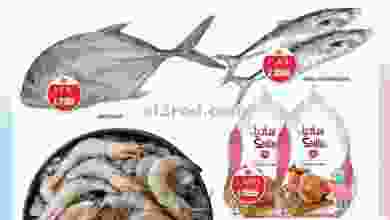 el3rod.com00001-939