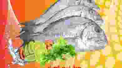 el3rod.com00001-997