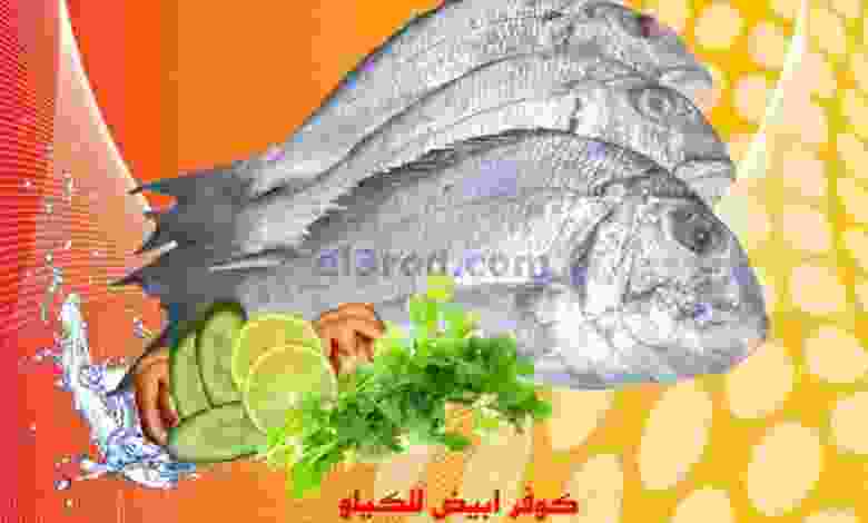 el3rod.com00001-997