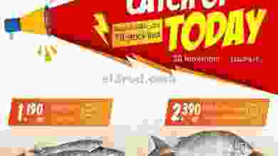el3rod.com00002-443
