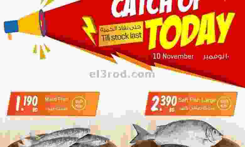 el3rod.com00002-443