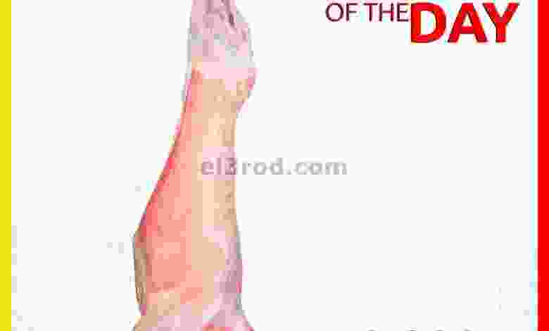 el3rod.com00002-827