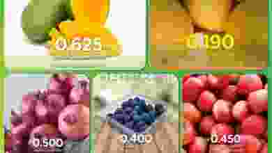 el3rod.com00003-823
