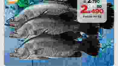 el3rod.com00004-182