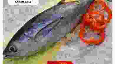 el3rod.com00001-1035
