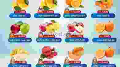 el3rod.com00001-1080