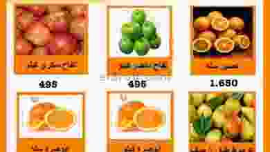 el3rod.com00001-1198
