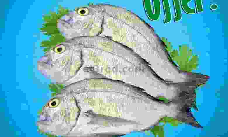el3rod.com00001-1229