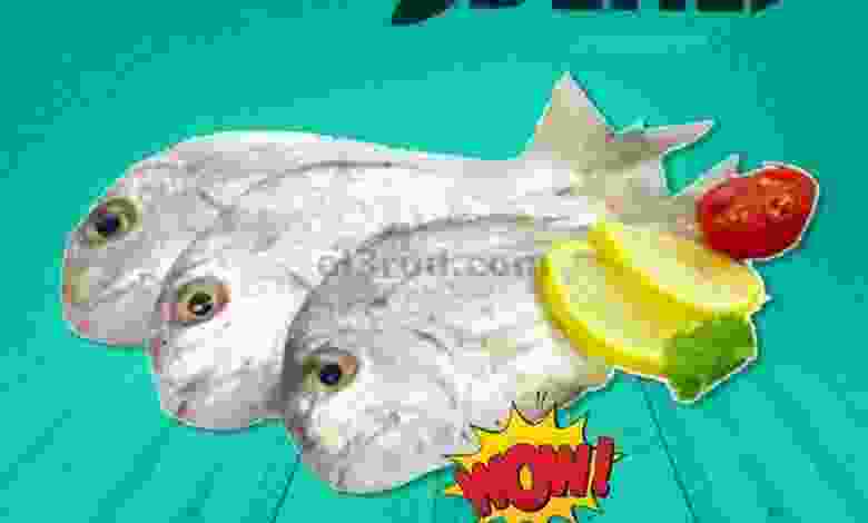 el3rod.com00001-1230