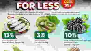 el3rod.com00001-1233