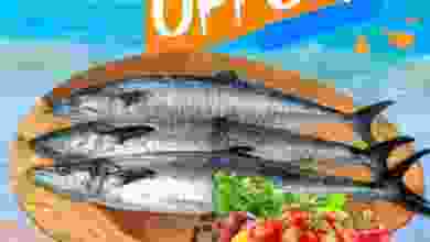 el3rod.com00001-1361