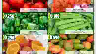el3rod.com00001-1366