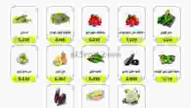 el3rod.com00001-167