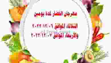 el3rod.com00001-182