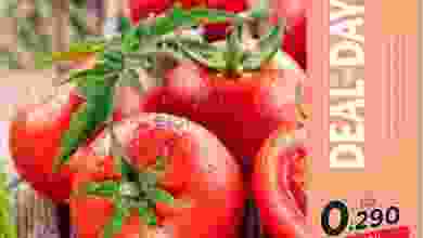 el3rod.com00001-205