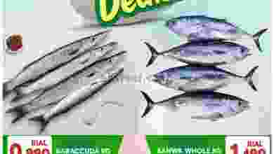 el3rod.com00001-240