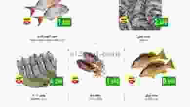 el3rod.com00001-256