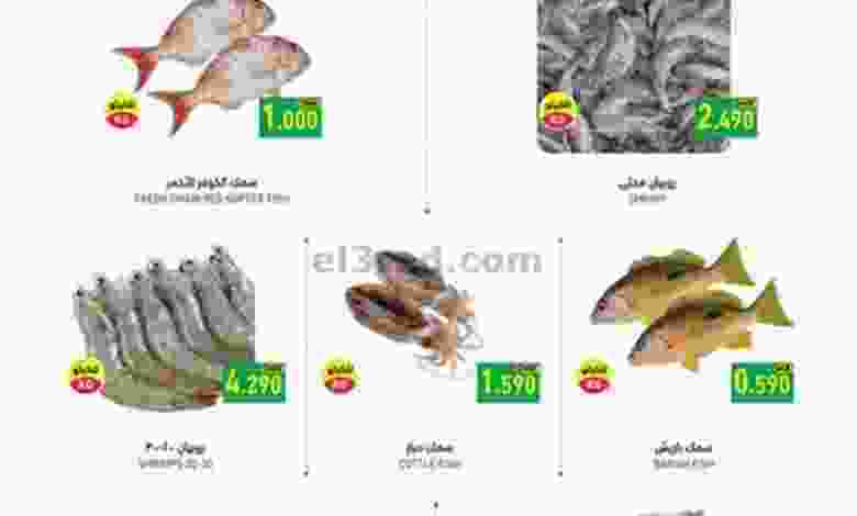 el3rod.com00001-256
